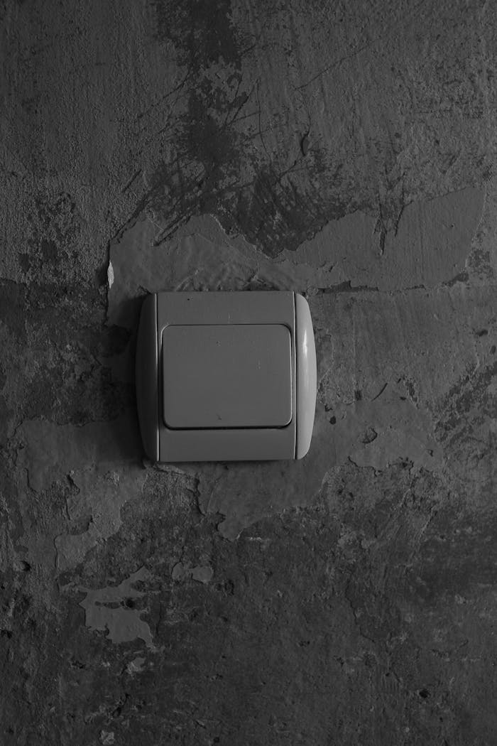 pexels photo 9824239.jpeg